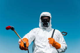 Outdoor Pest Control in Gulf Park Estates, MS